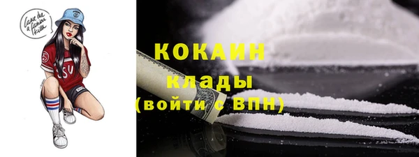 прущие крисы Кулебаки