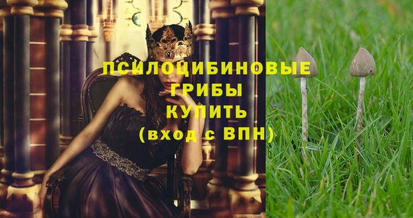 a pvp Кукмор