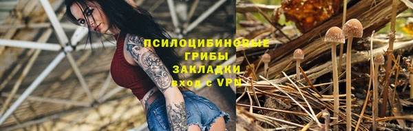 a pvp Кукмор