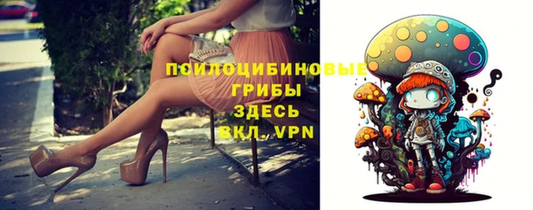 a pvp Кукмор