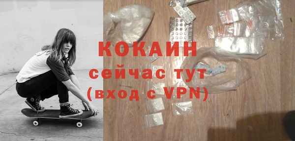 прущие крисы Кулебаки