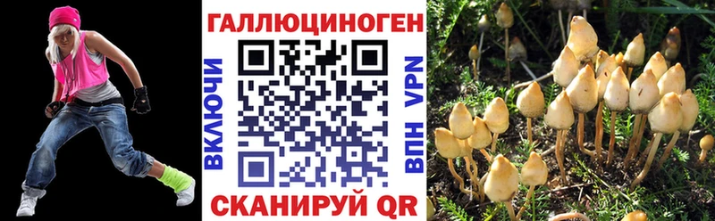 Псилоцибиновые грибы Psilocybine cubensis  закладки  blacksprut ССЫЛКА  Южно-Сухокумск 